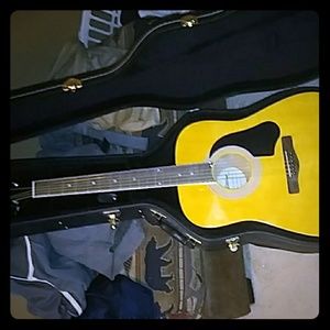 SilverStone pro series guitar